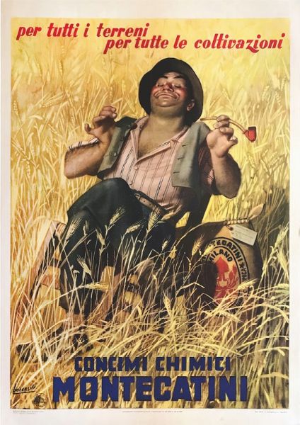 PER TUTTI I TERRENI&  CONCIMI CHIMICI MONTECATINI  - Auction Vintage Posters - Digital Auctions