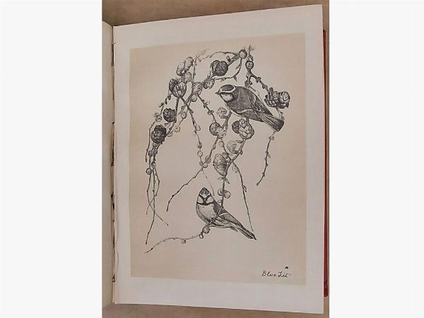 Birds from Moidart and elsewhere  - Asta Libri Antichi - Digital Auctions