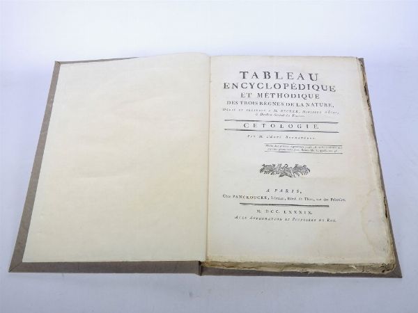 Tableau encyclopdique et mthodique des trois Rgnes de la Nature  - Auction Old books - Digital Auctions