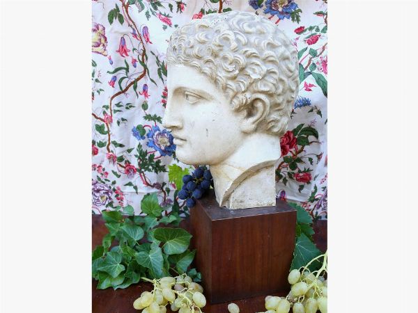 A plaster classical male head  - Auction Tuscan style: curiosities from a country residence - Digital Auctions