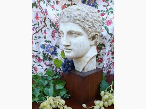 A plaster classical male head  - Auction Tuscan style: curiosities from a country residence - Digital Auctions